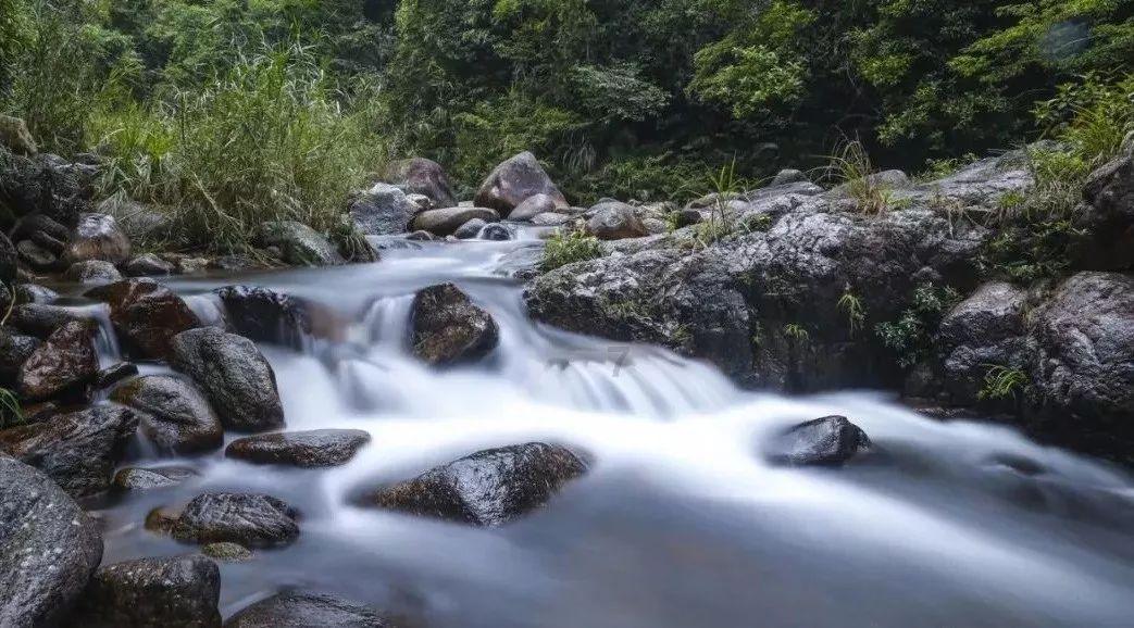 迷失在荒野