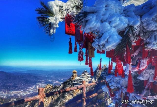 空中精准“送血”!深圳启用全国首个“5G+”无人机血液运输智能空港平台